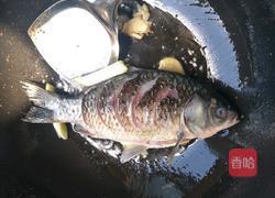 红枣冬瓜鲫鱼汤的做法图解5