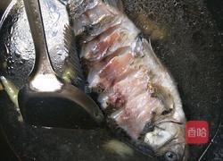 红枣冬瓜鲫鱼汤的做法图解6