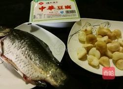 青菱鲫鱼豆腐汤的做法图解1