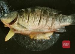 青菱鲫鱼豆腐汤的做法图解10