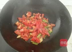 西红柿烧茄子的做法图解8