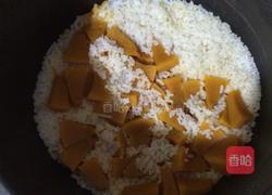 南瓜小鸟饭团的做法图解5