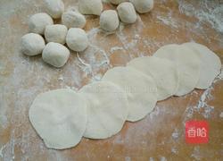 白菜猪肉饺子的做法图解5