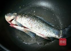 蛤蜊汆鲫鱼的做法图解5