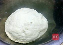 水煎饺的做法图解2