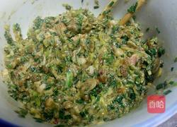 韭菜西葫芦饺子的做法图解8