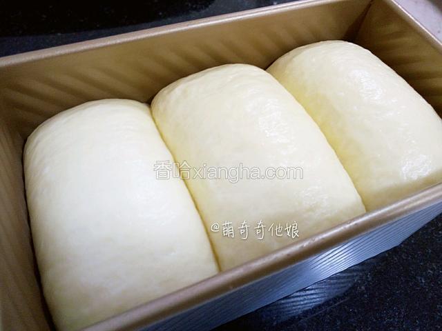 二发的表面应该是光滑细腻平整的，这样才能保证面包组织的细腻拉丝，而这光滑平整则来自于慢发酵！所以一定要控制好发酵温度。




【一发和二发的关系】




发酵是一个整体，二发是一发的延续。




一发只能给面团膨胀一倍，留一倍给二发时膨胀，再留一倍在烤制时膨胀。




如果你一发发过了，就等于把二发的膨胀空间提前利用了，那二发哪来的空间和力量膨胀，一发二发都过头了，烤制过程中就无膨胀力了！




所以一发掌控不好必然导致二发出问题，然后就会出现二发膨胀不明显且烤制时长不大，最终导致发酵失败，那么成品可想而知！




一发过度，二发鼓泡。这些都会提前占用烤制长高的空间，所以烤制的时候就无力爬高。所以建议用温度计监测发酵温度，一发25℃，二发35℃。