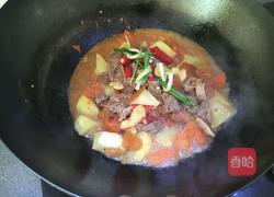 番茄土豆炖牛肉的做法图解13
