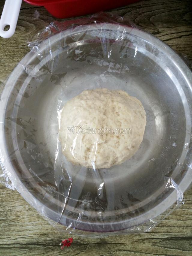 先加入鸡蛋，盐，糖搅拌。酵母用温牛奶稀释，静止10分钟，加入搅拌成絮状，用手滚圆面团醒30分钟。
