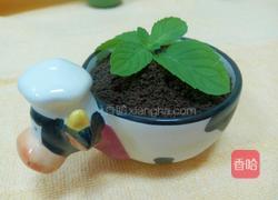 盆栽冰淇淋的做法图解14