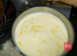 酸奶冰激凌的做法图解7