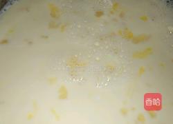 酸奶冰激凌的做法图解8