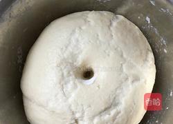 大头菜包子的做法图解5