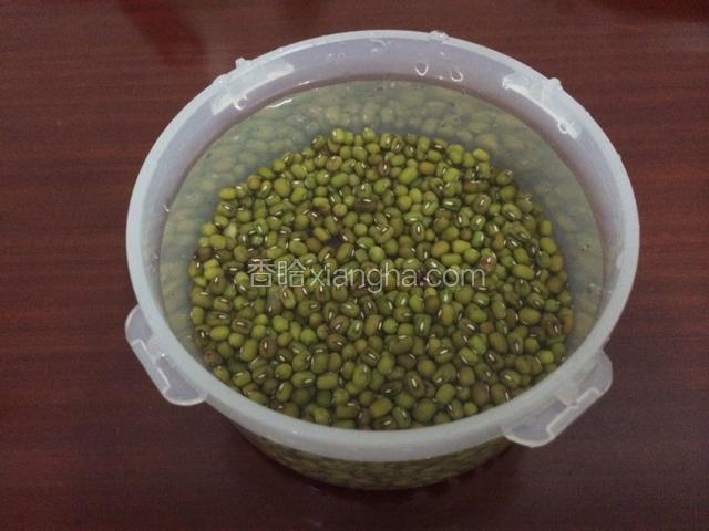 绿豆洗净加入水放冰箱浸泡一个晚上