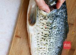 鲤鱼汤的做法图解1