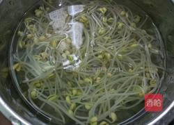 素炒黄豆芽的做法图解3