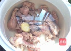 鸽子汤的做法图解4