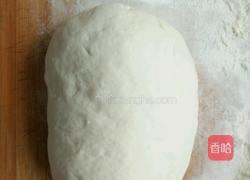 胡萝卜馅包子的做法图解4