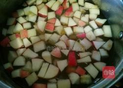 洛神花果茶的做法图解4