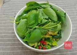 凉拌荆芥黄瓜的做法图解5