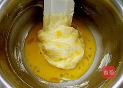 奶酪球的做法图解4