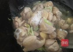 土豆炖鸡肉的做法图解4