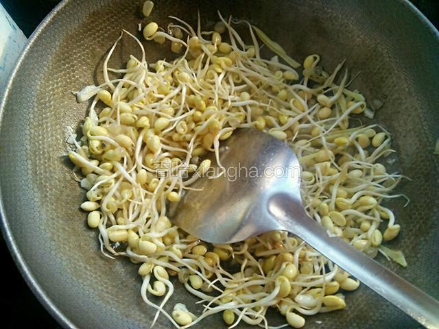 蒜姜炒出香味后放入豆芽翻炒