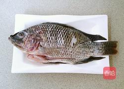 红烧罗非鱼的做法图解1