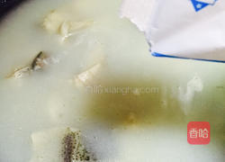 清炖鲢鱼的做法图解7