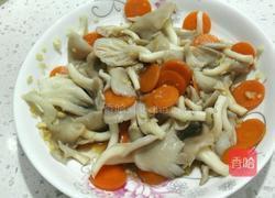 凉拌蘑菇的做法图解5