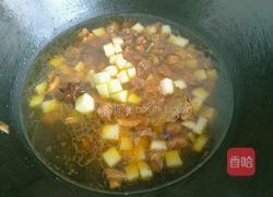 红烧羊肉萝卜的做法图解10