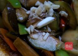 什锦素烧茄子的做法图解11