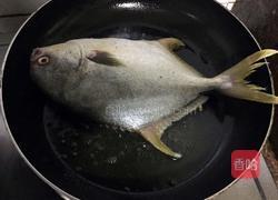 干烧金鲳鱼的做法图解3