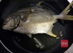 干烧金鲳鱼的做法图解4