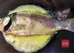 鲫鱼汤的做法图解3