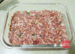 太阳肉的做法图解5