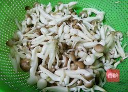 白玉菇炒肉片的做法图解2