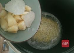 苹果小米粥的做法图解5