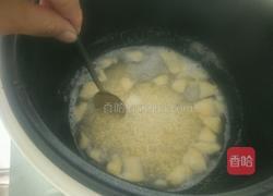 苹果小米粥的做法图解6