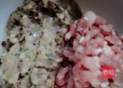 鱼肉馅水饺的做法图解9