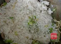 Illustration of how to make cabbage fried rice 4