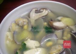 鲜蛤豆腐汤的做法图解7