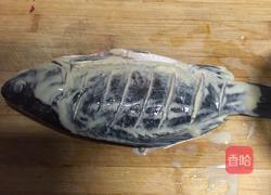 酸菜鲫鱼的做法图解4
