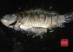 酸菜鲫鱼的做法图解5