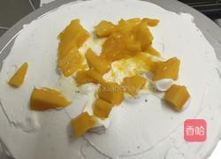 迷你芒果夏洛特的做法图解4