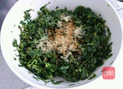 马齿苋饼的做法图解3