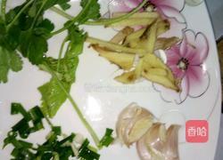 冬瓜虾仁的做法图解3