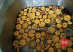 枞树菌炖肉丸的做法图解2