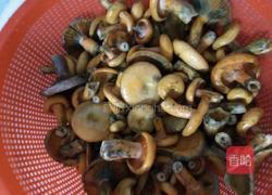 枞树菌炖肉丸的做法图解4