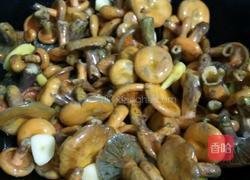 枞树菌炖肉丸的做法图解12